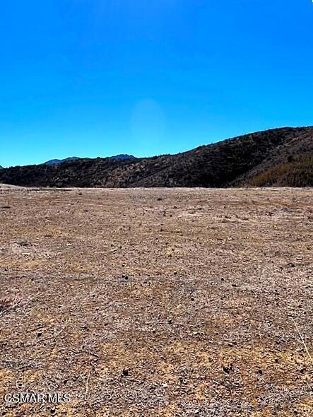 29266 Wagon Road