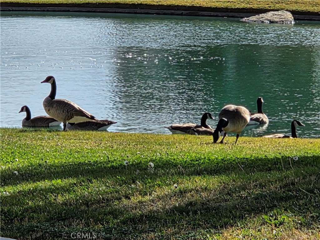 SUN LAKES COUNTRY CLUB - Residential