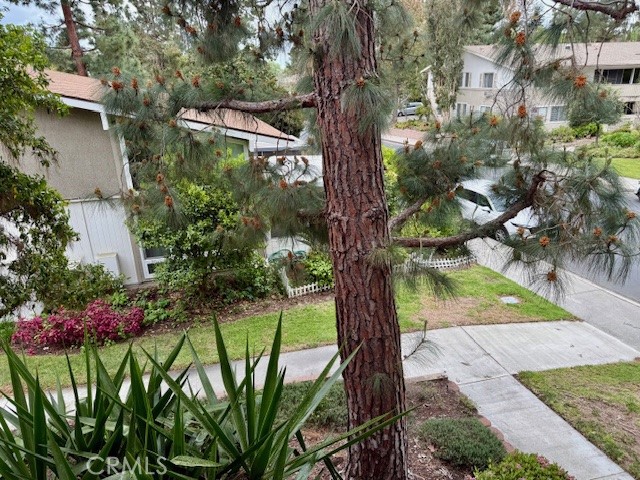 367 Avenida Castilla N