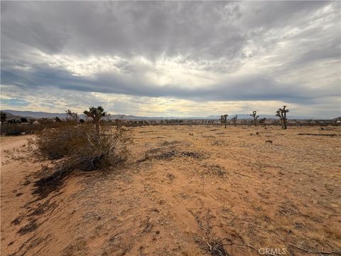 16252 Olema Road Apple Valley CA 92307