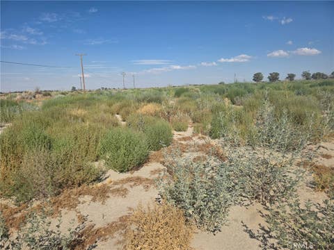 Photo of 150 Ste/Vic, Black Butte, CA 93591 (MLS # DW26147174)