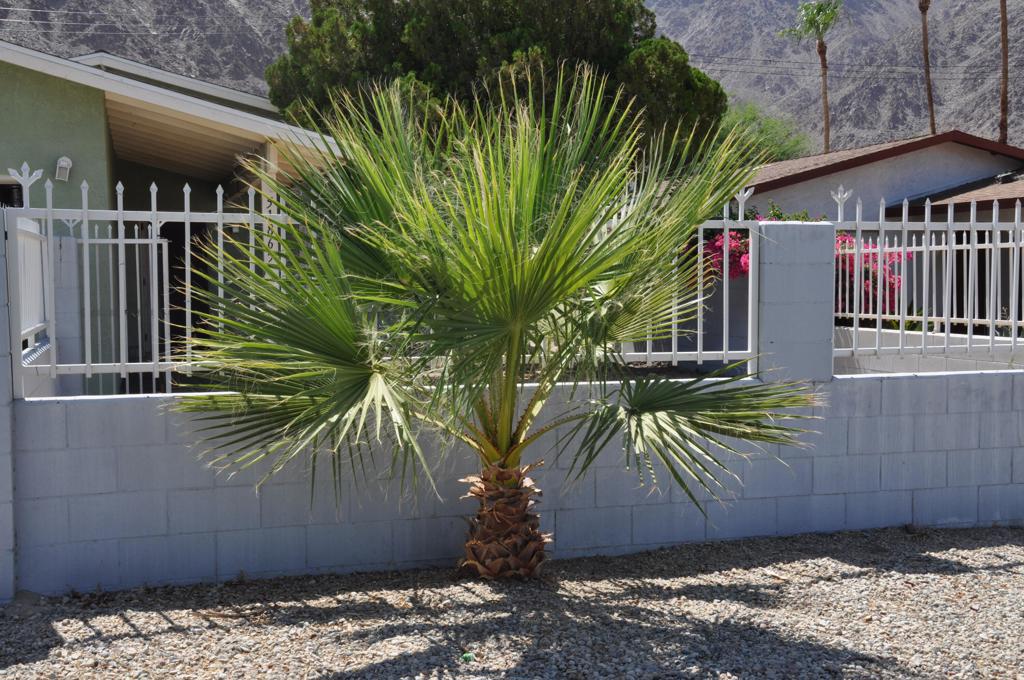 La Quinta Cove - Residential