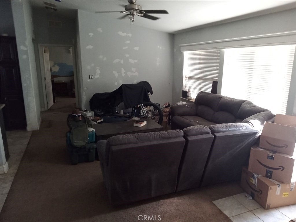 30700 Scrub Oak