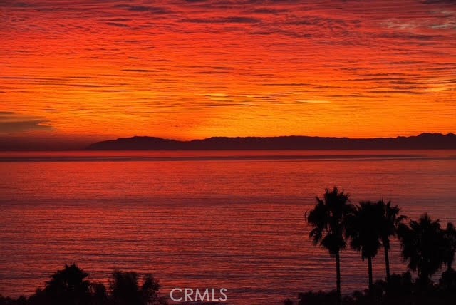 Laguna Ocean Vista Condos (LOV) - Residential