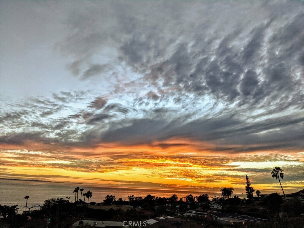 Laguna Ocean Vista Condos (LOV) - Residential