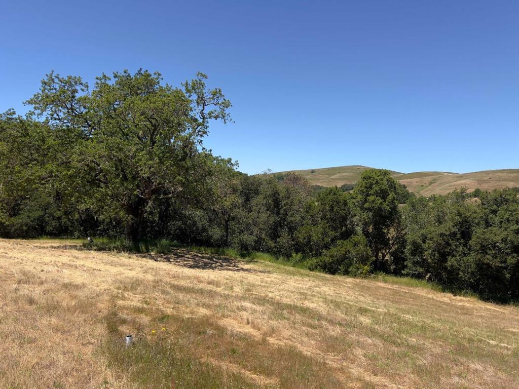3 Ohlone Trace