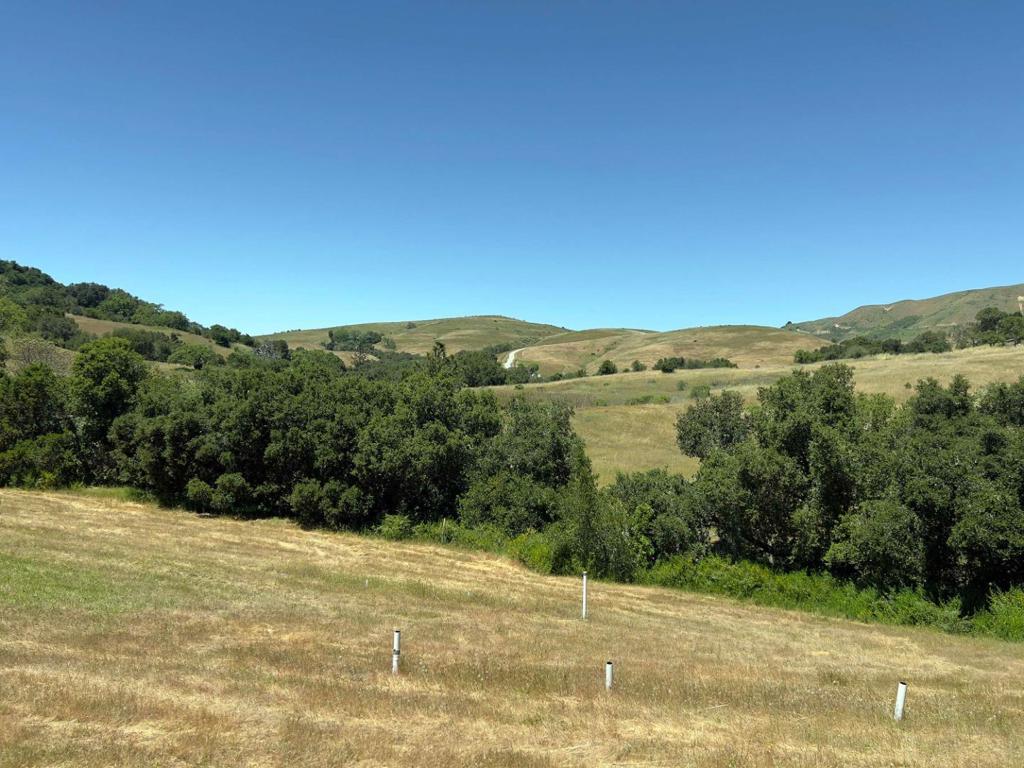 3 Ohlone Trace