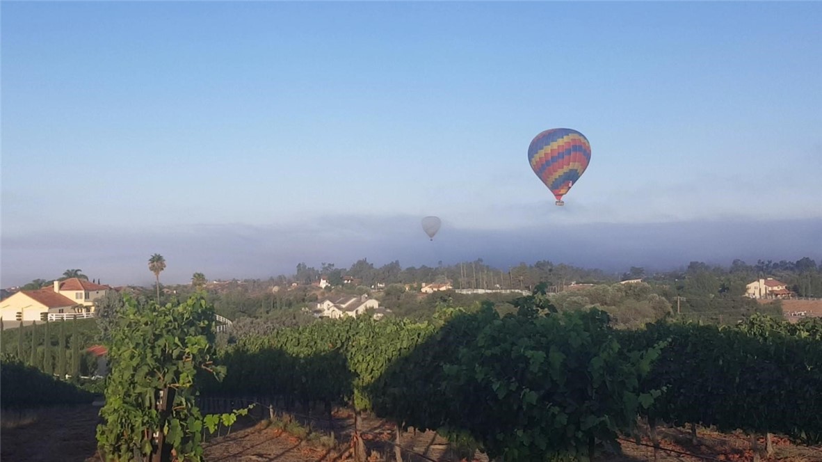 38386 Rock Creek Cir