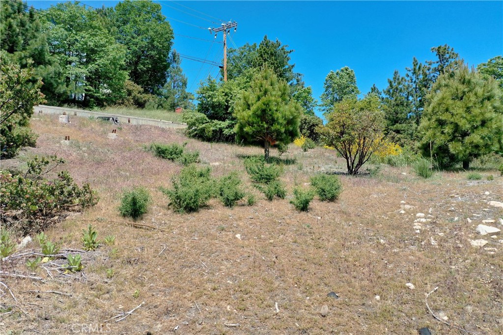 Arrowhead Woods (AWHW) - Land