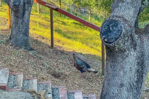 Tiny photo for 10662 Santa Ana Road, Atascadero, CA 93422 (MLS # NS26079042)