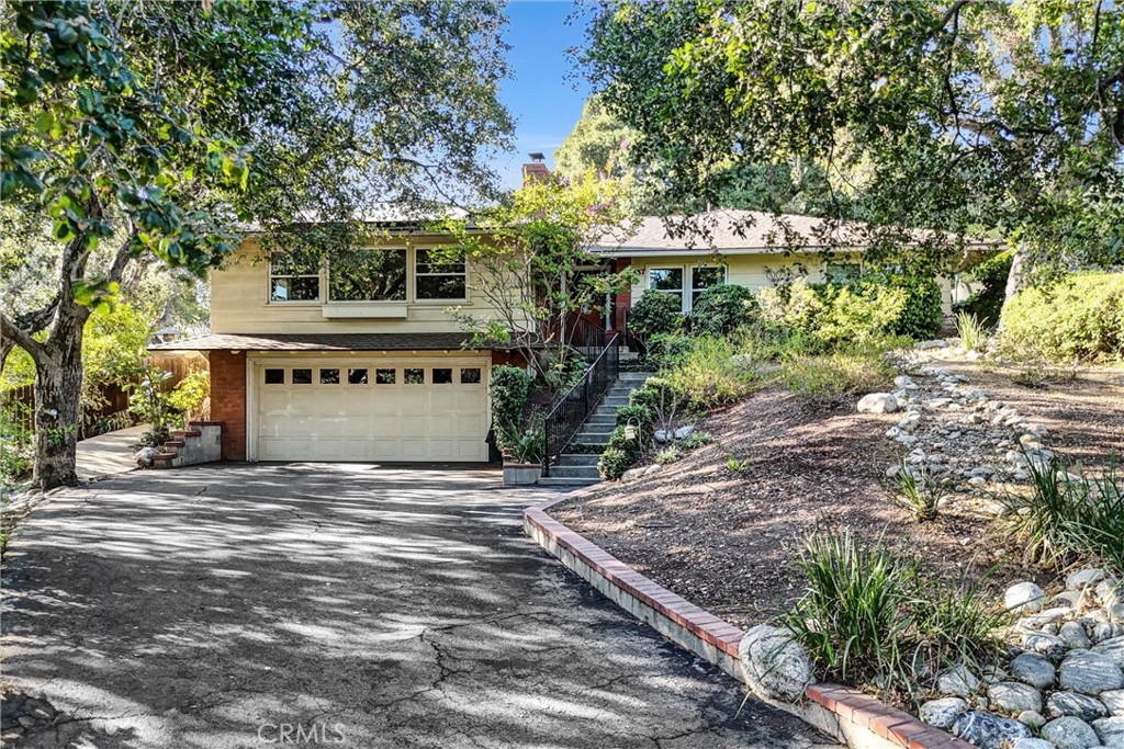 337 Meadow Lane