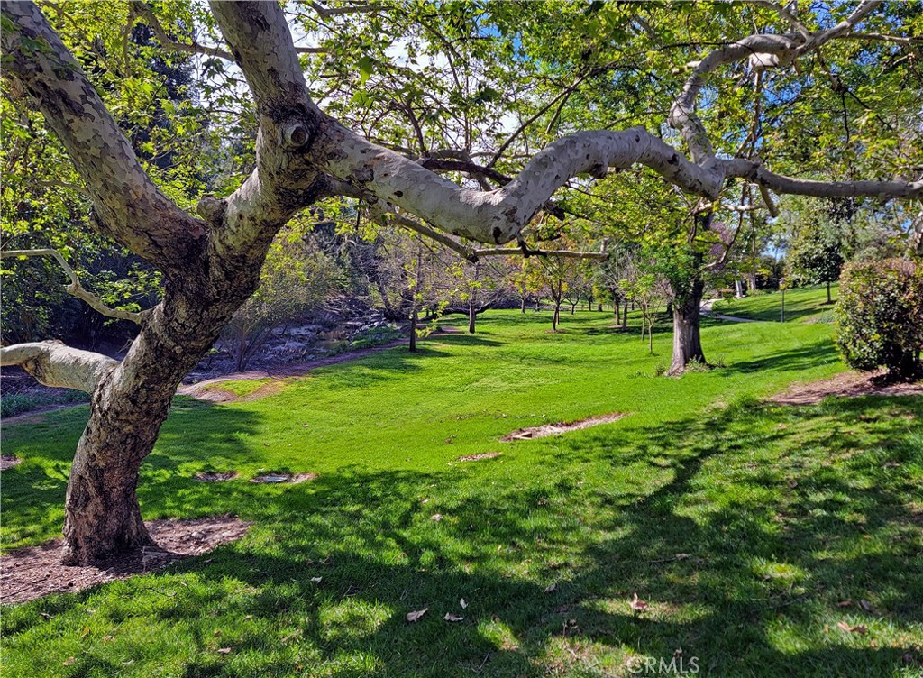 179 Avenida Majorca C