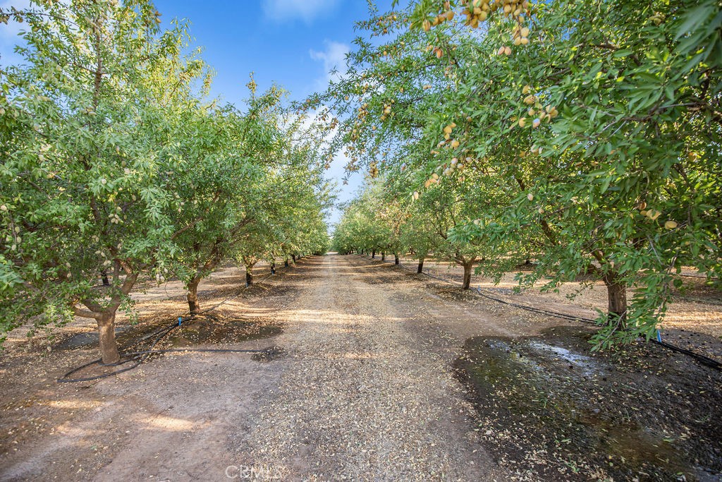 14950 Buchanan Hollow Road