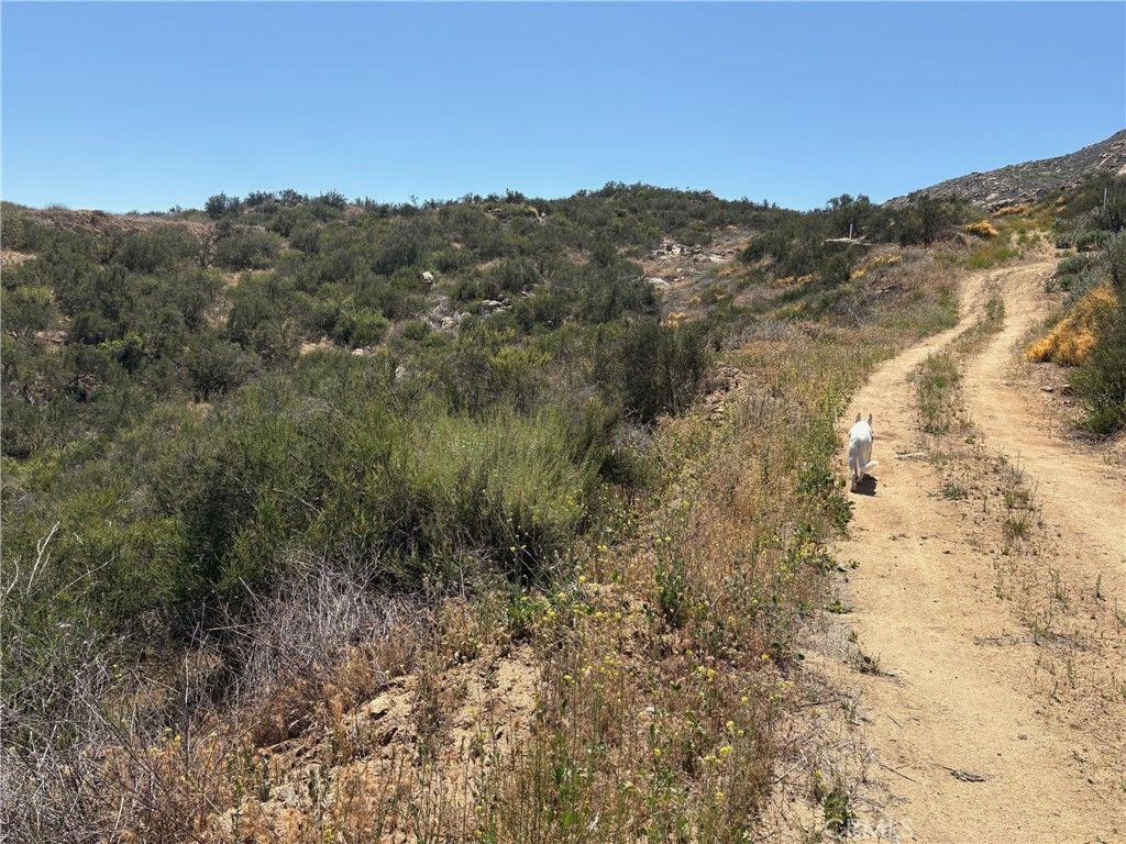 listing image 130722982922054561444