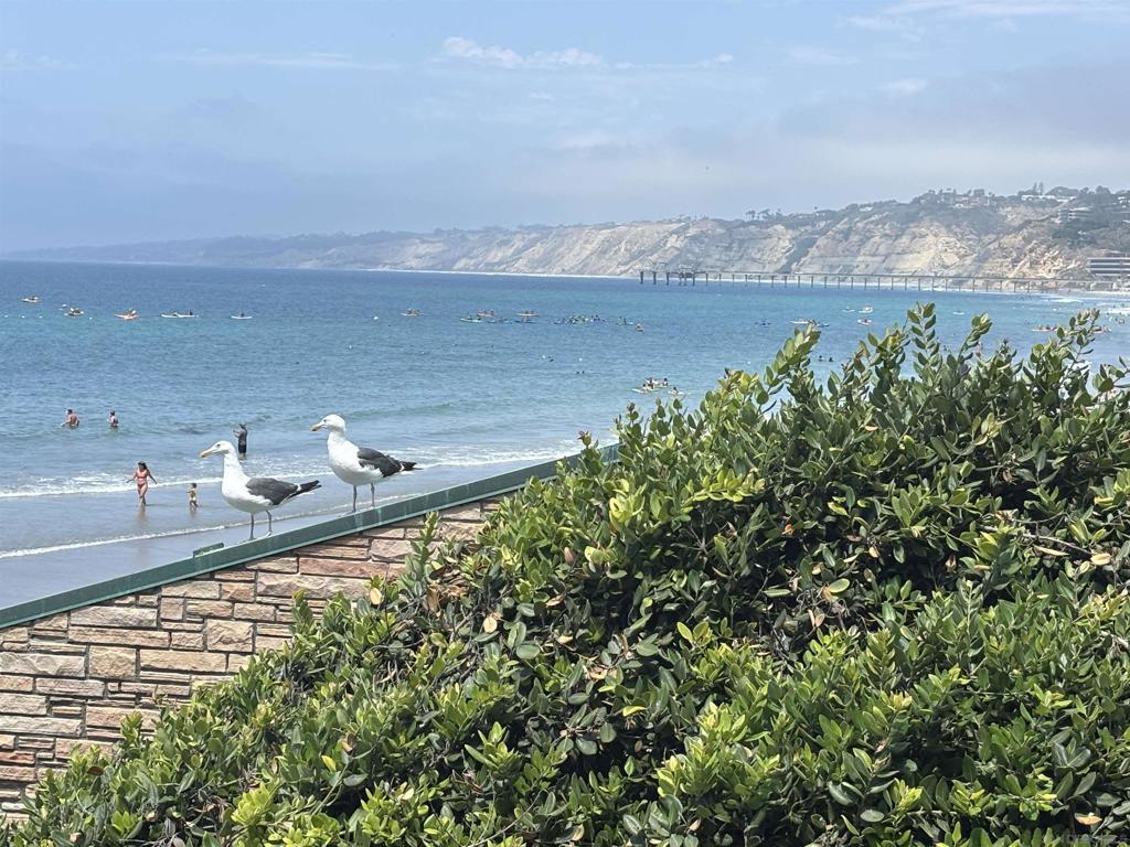 La Jolla - Residential