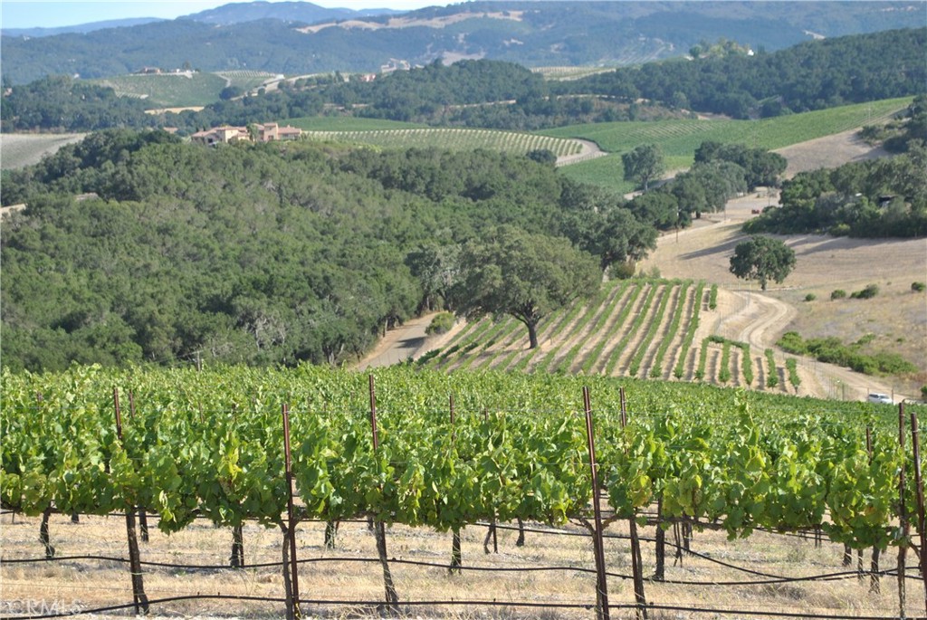 PR Rural West(250) - Residential