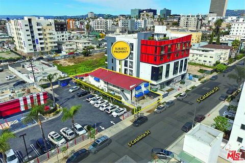 981 S Catalina Street Los Angeles CA 90006