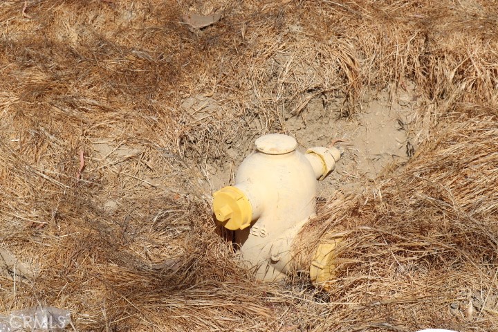 Custom Val Verde (CVVER) - Land