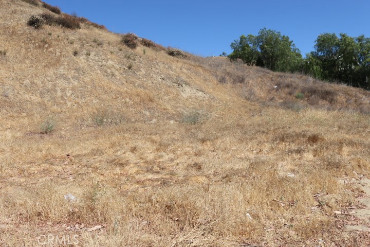 Custom Val Verde (CVVER) - Land