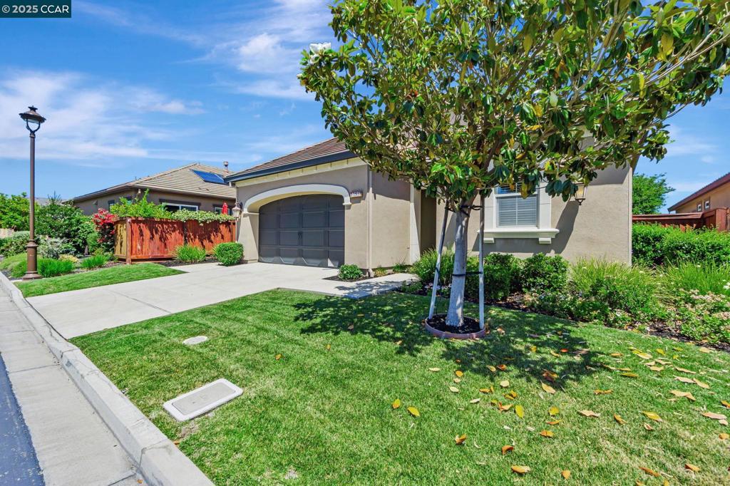 TRILOGY VINEYARDS - Residential