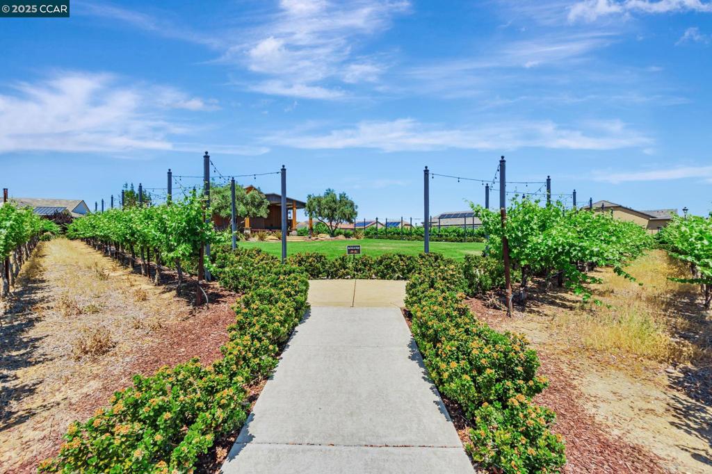 TRILOGY VINEYARDS - Residential