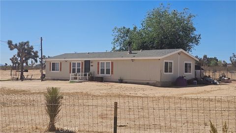 Photo of 6833 South Street, Phelan, CA 92371 (MLS # IG25100761) Photo of 6833 South Street, Phelan, CA 92371 (MLS # IG25100761)