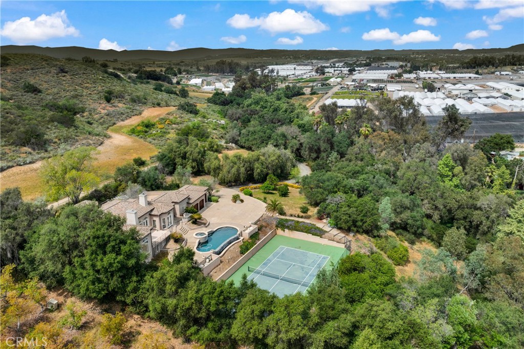 3013 Olive Hill