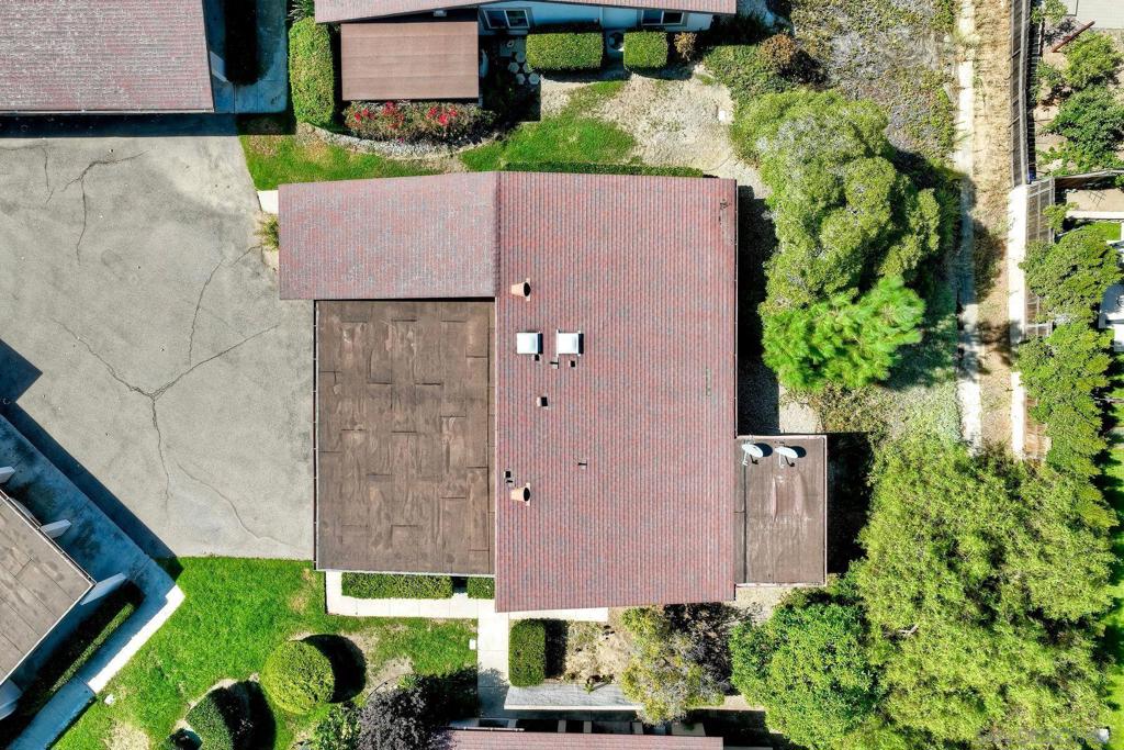 12553 Caminito De La Gallarda