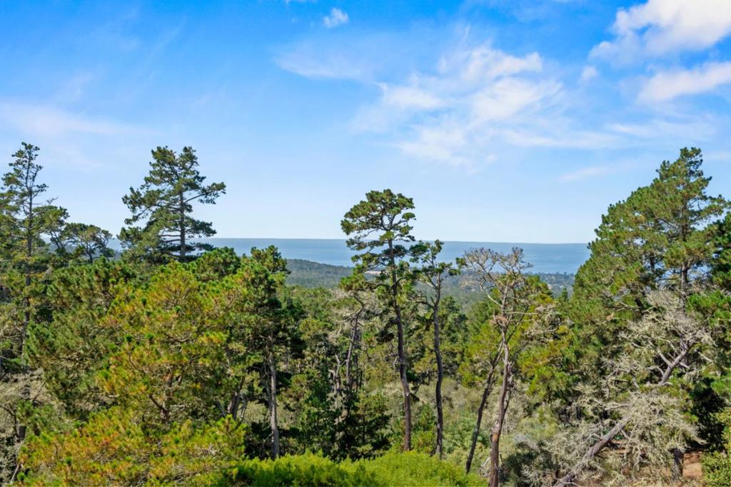 250 Forest Ridge Road 42