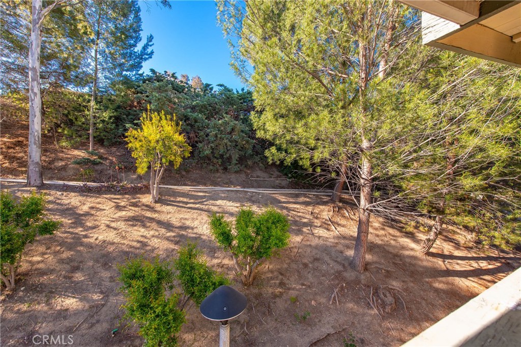 19828 Spanish Oak Drive