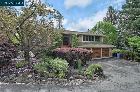 Photo of 304 Livorna Heights Rd Rd, Alamo, CA 94507 (MLS # 41127249)