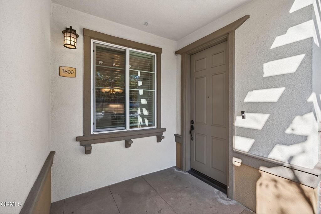 3800 Alee Lane