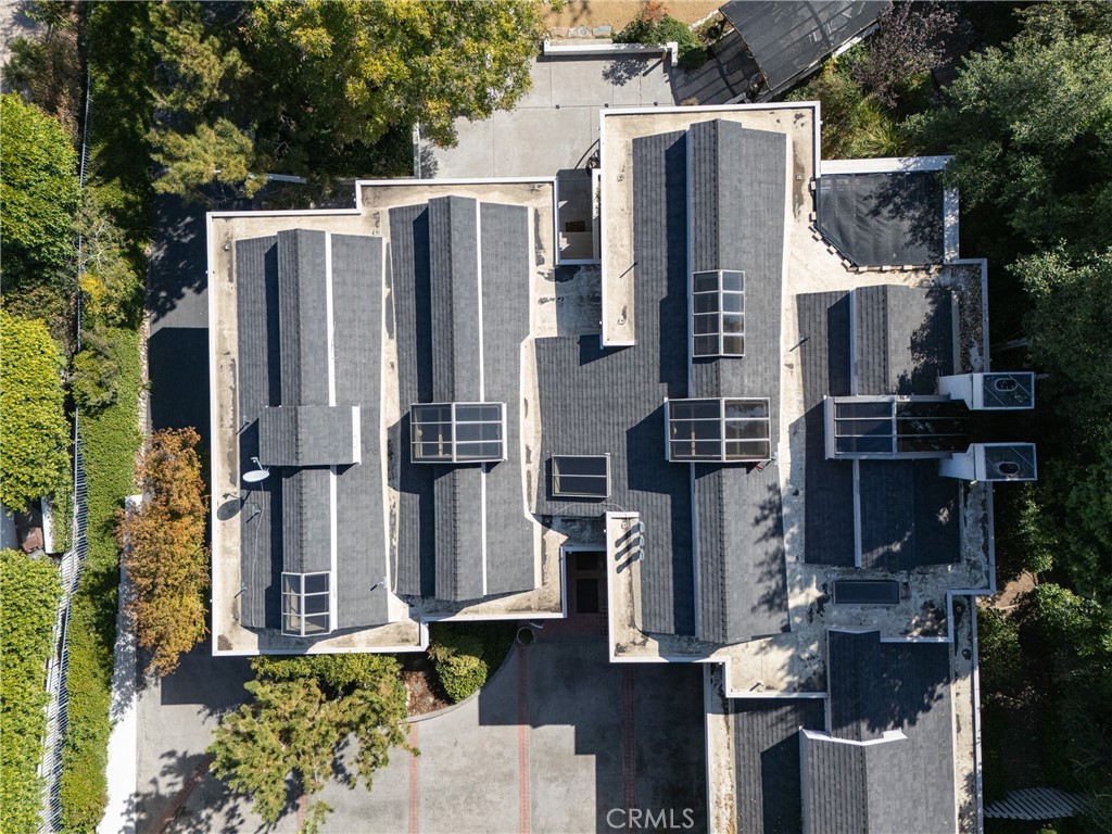 31561 Peppertree Bend
