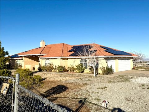 Photo of 8225 Ailanthus St, Phelan, CA 92371 (MLS # IG26011217)