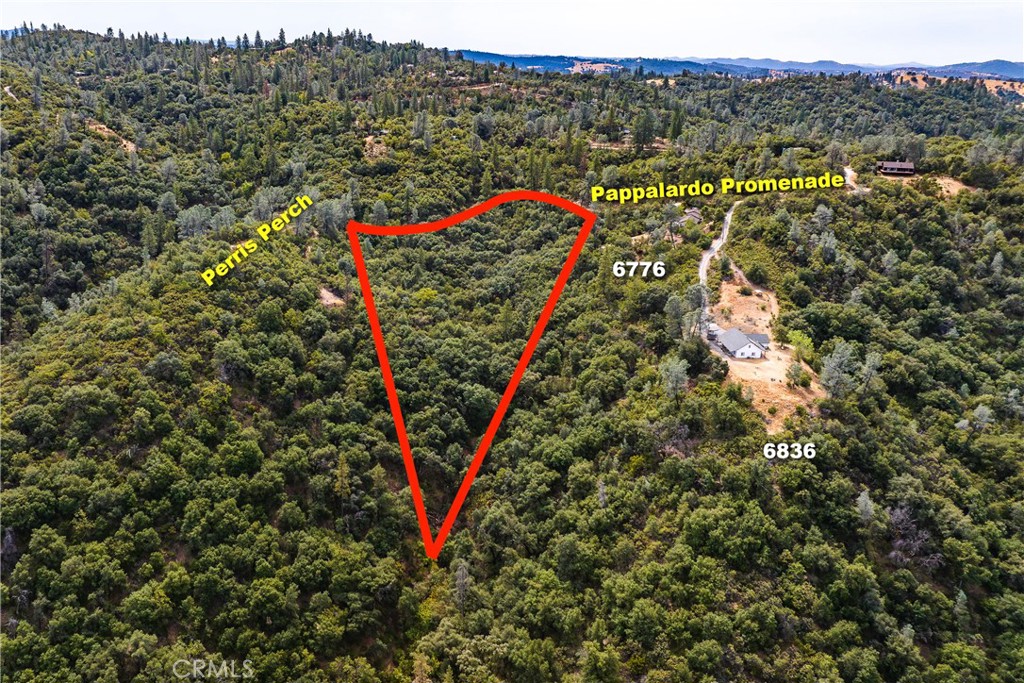 6652 Pappalardo Promenade