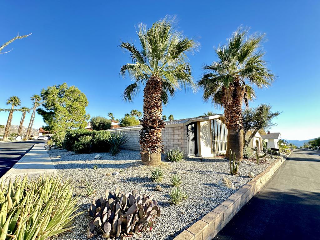 Desert Willow - Manufactured In Park