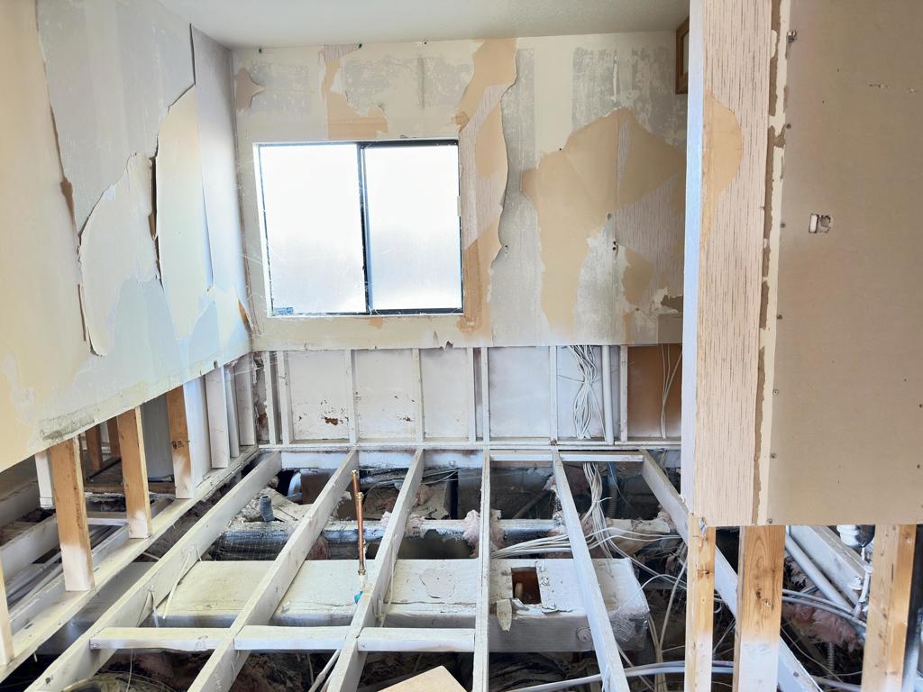 Desert Willow - Manufactured In Park