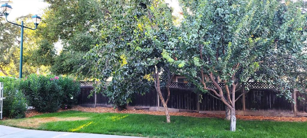 PLEASANTON - Residential