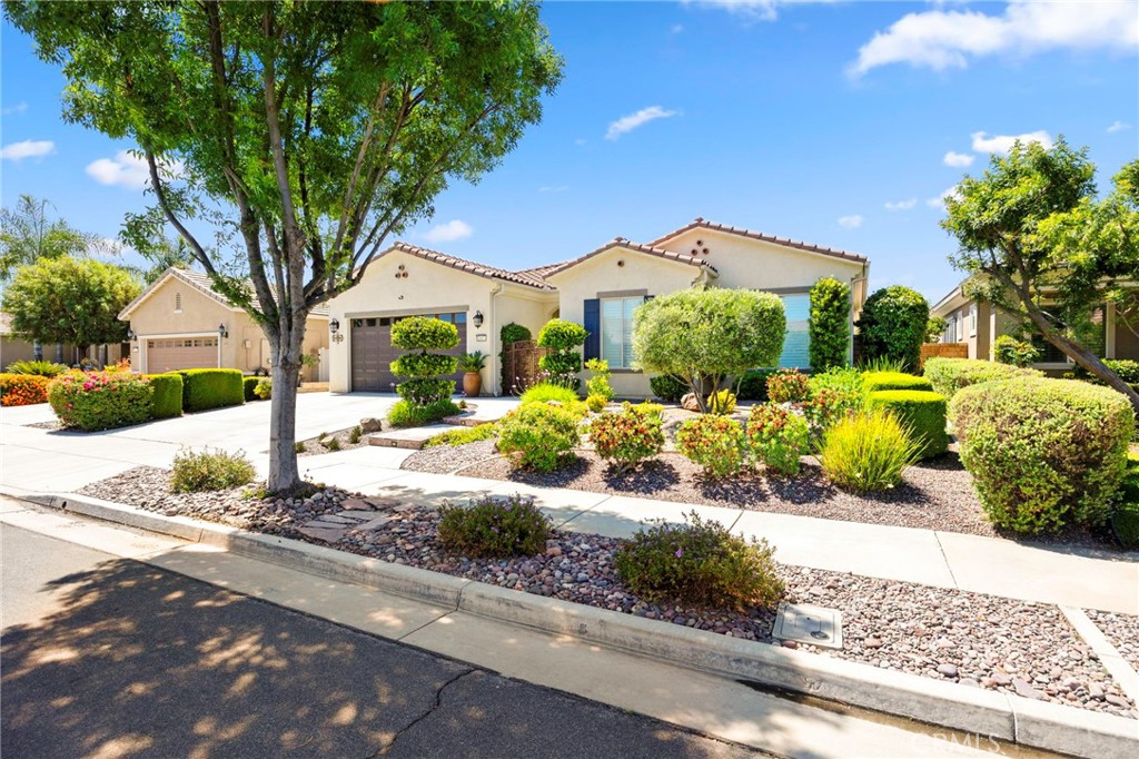 5267 Paseo Callado