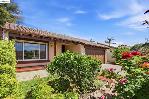 Photo of 40930 Rioja Ct Ct, Fremont, CA 94539 (MLS # 41129954)