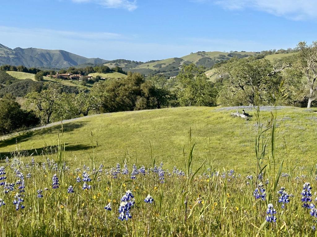 Located in the coveted Touche Pass area of the Preserve just minutes from the Ranch and Golf clubs. Sweeping layered views of oak studded rolling hills framed by the saddle between Chamisal Ridge and Penon Peak. This 18.15 acre homeland enjoys a 2.82 acre homeland palette ready for a one story, home, guest house and part time equestrian designation which allows for a barn/shop/hobby barn/art studio, etc. Architectural renderings and design by internationally acclaimed Field Architects.