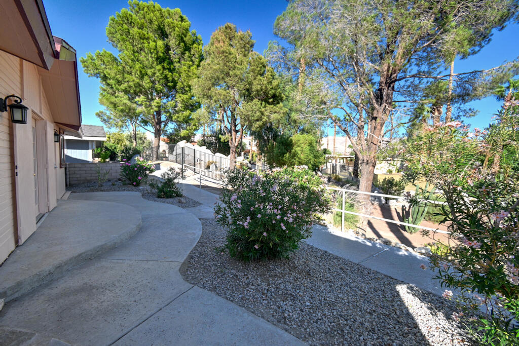 Desert Willow - Manufactured In Park