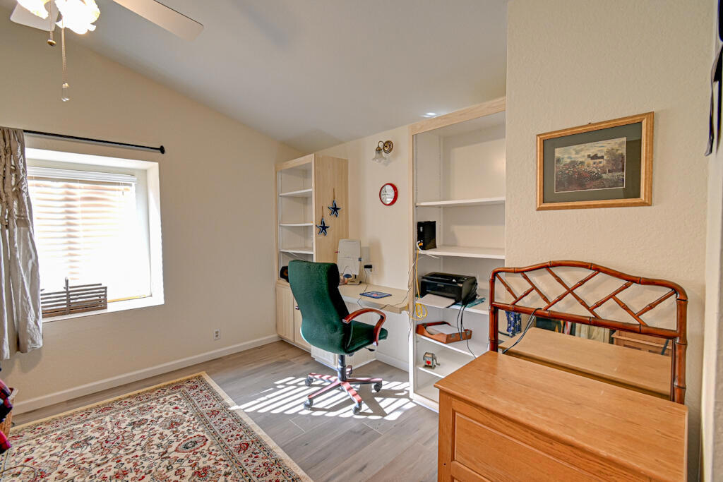 Desert Willow - Manufactured In Park