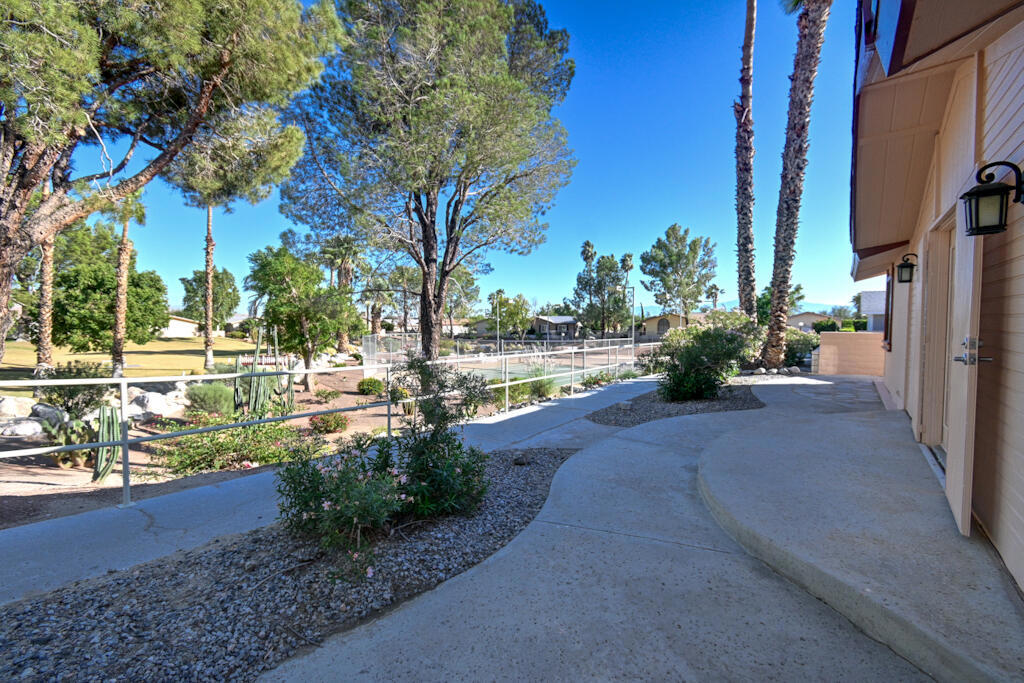 Desert Willow - Manufactured In Park