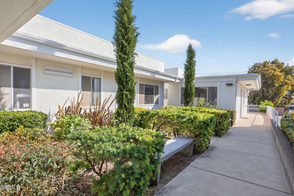 3442 Loma Vista Road