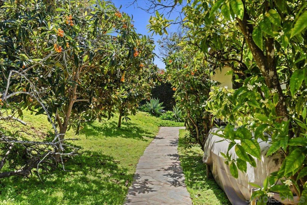 Del Mar - Residential