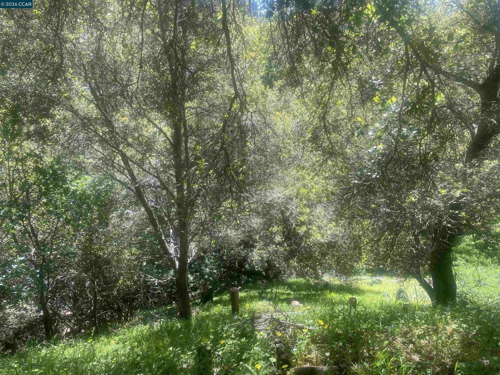2 Charles Hill Cir