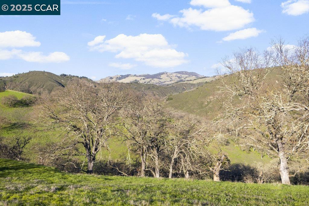 2300 Caballo Ranchero Dr