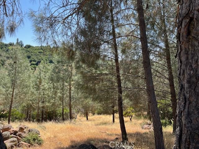 Beautiful residential site in Kelseyville Riviera. Close to shopping, schools and the lake with electricity and water at the road. Build your next home or second home in this peaceful neighborhood.