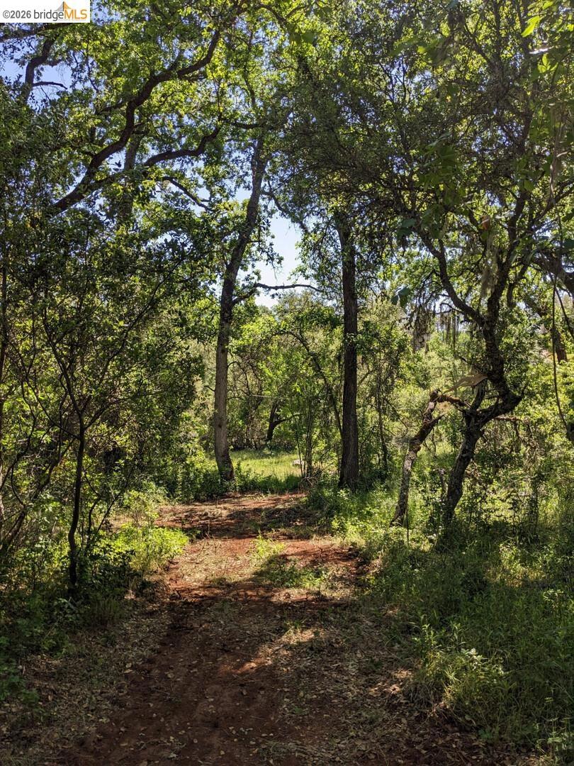 4095 Green Valley RD